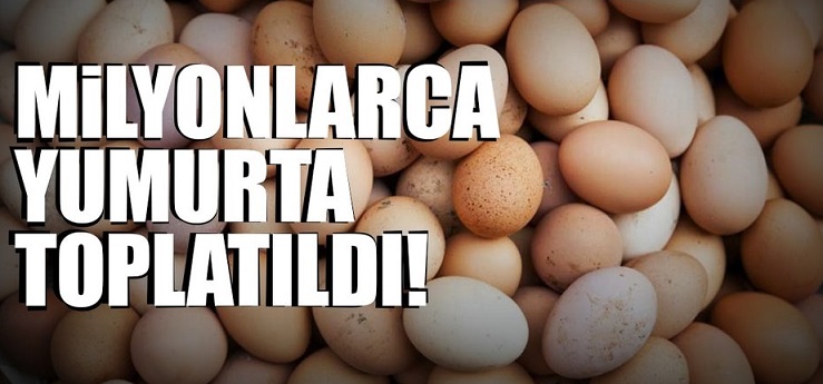 Avrupa’da panik devam ediyor! “Milyonlarca zehirli yumurta toplatıldı”