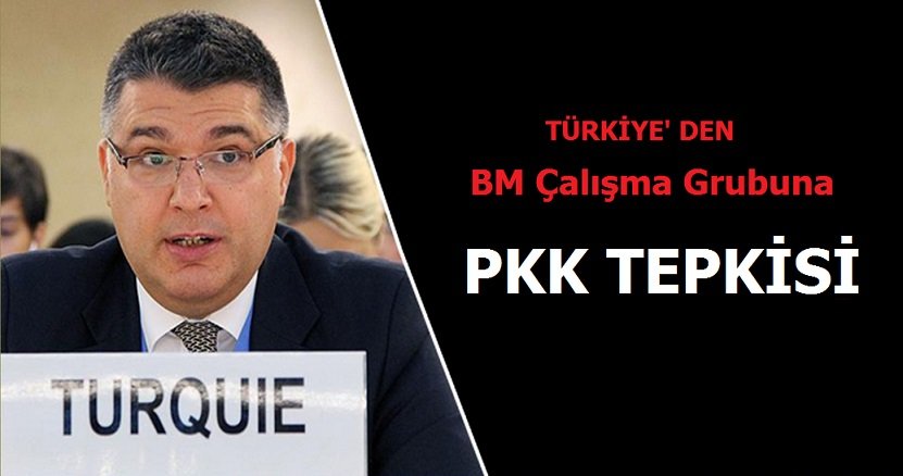 Türkiye’den BM Çalışma Grubu’na PKK tepkisi