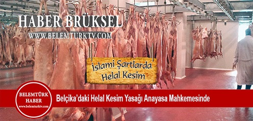 Belçika’daki helal kesim yasağı Anayasa Mahkemesinde