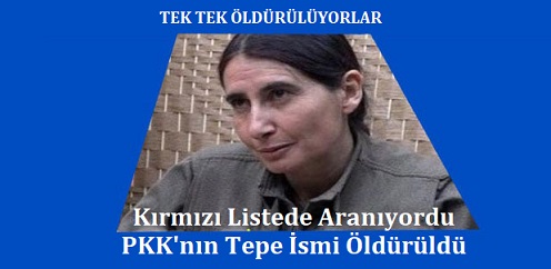 Kırmızı listede aranan  PKK’nın tepe ismi öldürüldü…