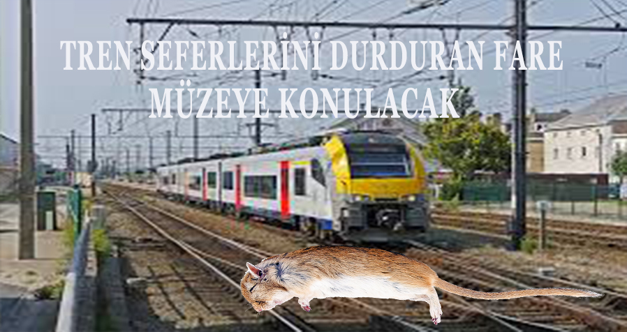 Hızlı tren seferleri, bir tarla faresi yüzünden iki gün boyunca yapılamadı.