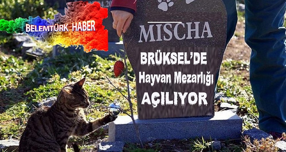 BRÜKSEL’DE EVCİL HAYVAN MEZARLIĞI AÇILIYOR!