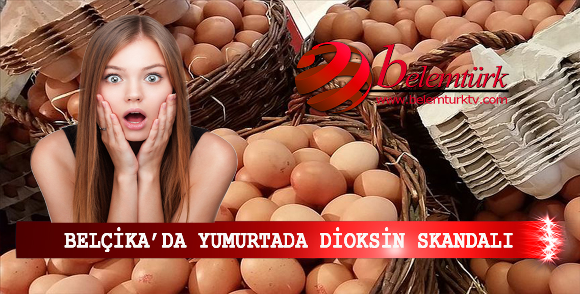 Belçika’da yumurtada dioksin skandalı