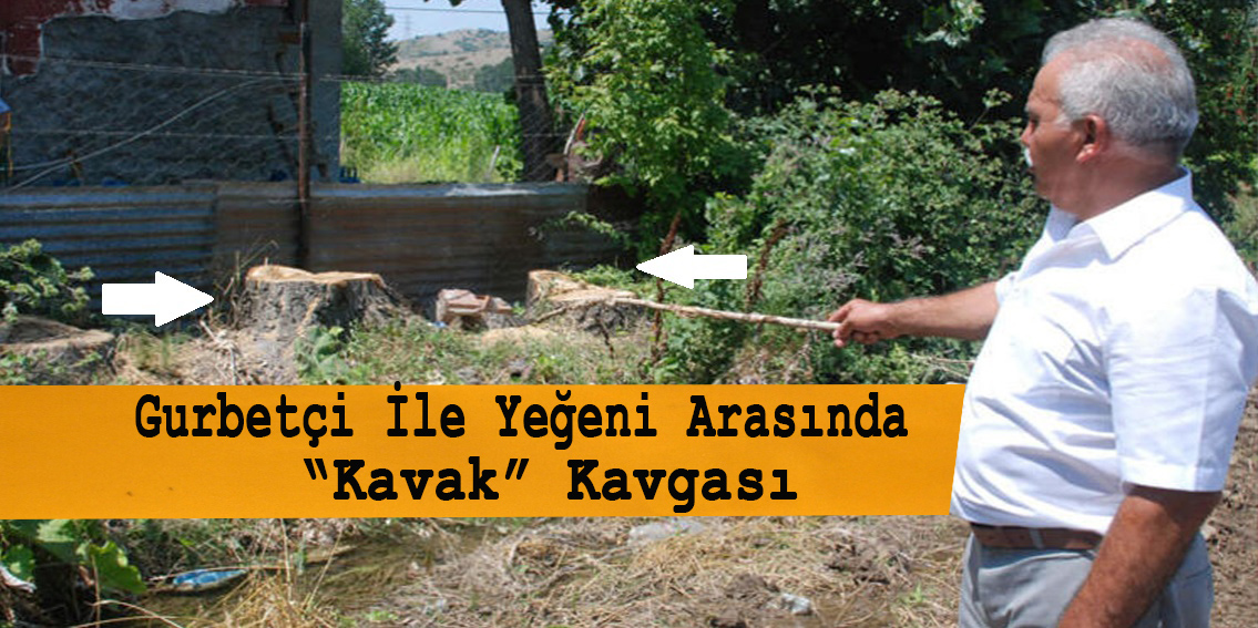 Gurbetçi ile yeğeni arasında ‘kavak’ kavgası