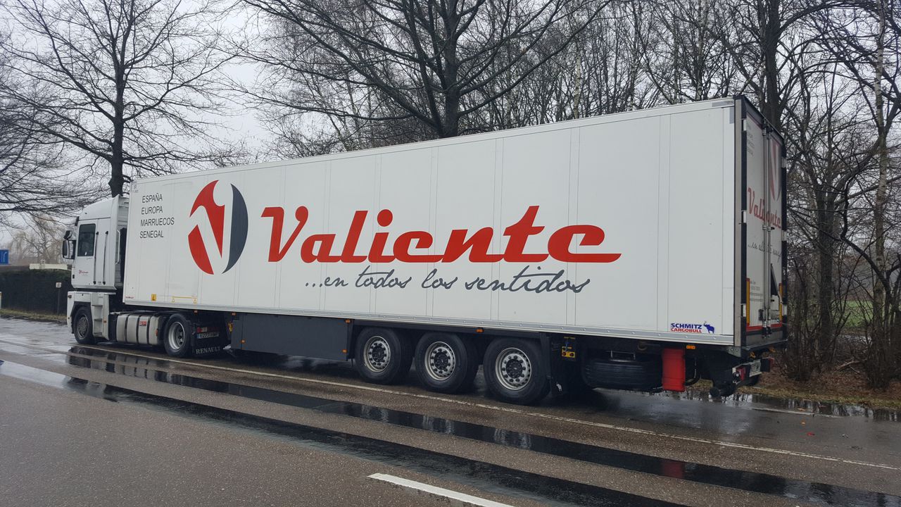 Belçika’da 8 göçmen ölmek üzereyken kurtarıldı