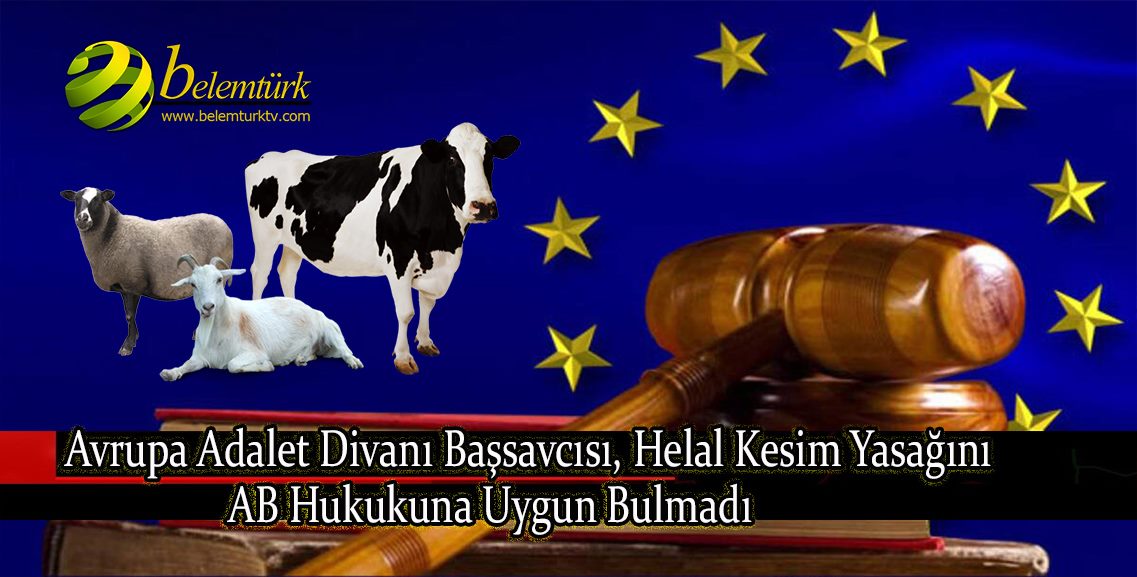 Avrupa Adalet Divanı Başsavcısı, helal kesim yasağını AB hukukuna uygun bulmadı