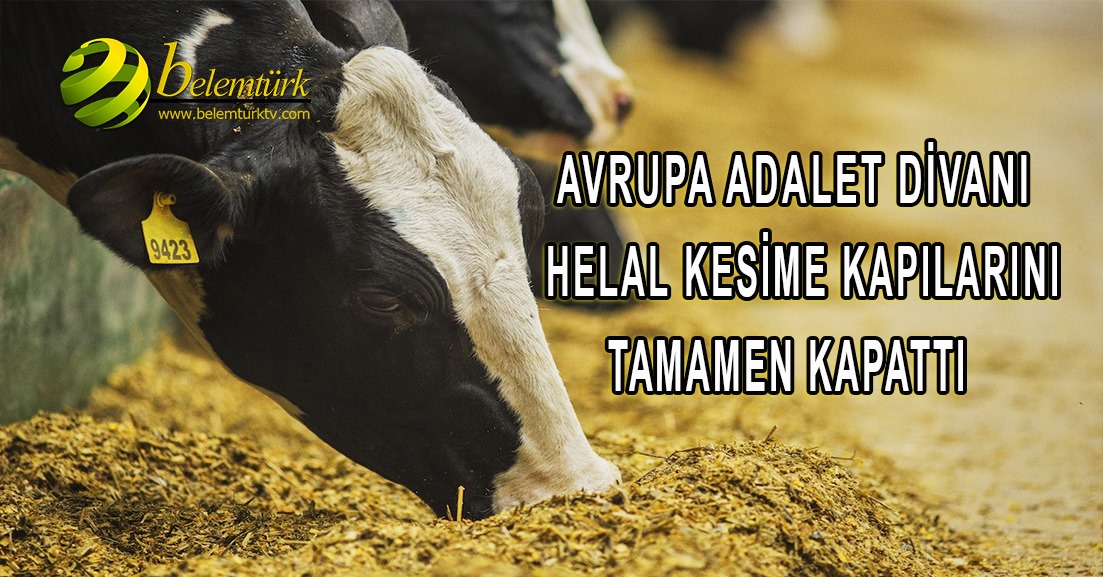Avrupa Adalet Divanı helal kesime kapıları tamamen kapattı.