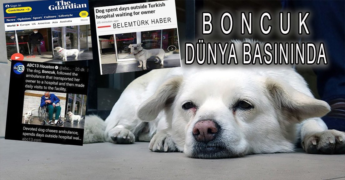 Boncuk dünya basınında