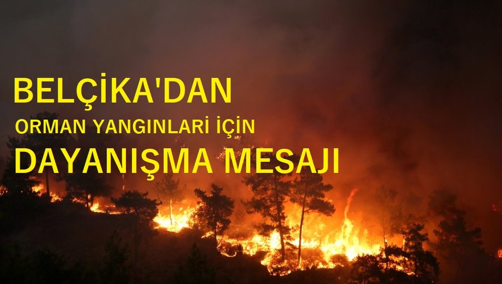 Belçika, orman yangınları nedeniyle dayanışma mesajı paylaştı.