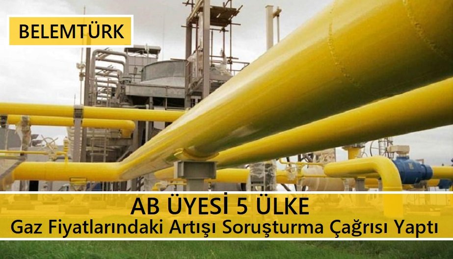 AB üyesi 5 ülke gaz fiyatlarındaki artışı soruşturma çağrısı yaptı.