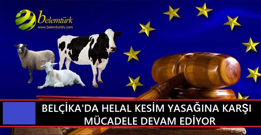 Belçika’da helal kesim yasağına karşı mücadele sürüyor