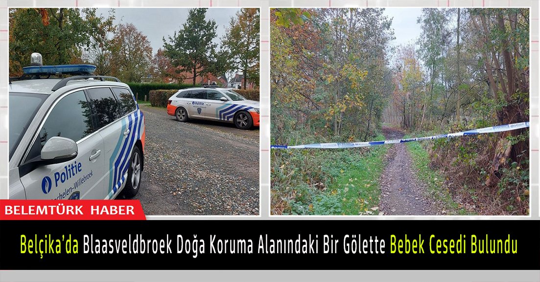 Belçika’nın Anvers şehrinde doğa koruma alanındaki bir gölette bebek cesedi bulundu