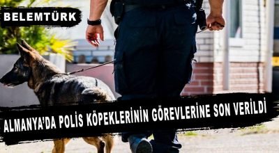 Almanya’da polis köpeklerinin görevlerine ara verildi