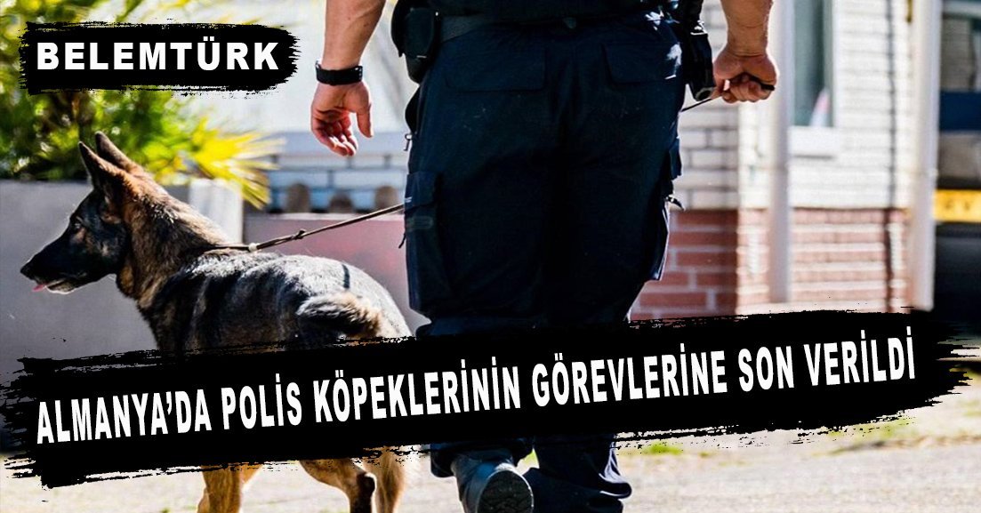 Almanya’da polis köpeklerinin görevlerine ara verildi