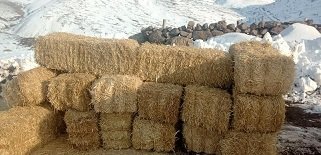  Kış mevsiminde içimizi ısıtan görüntüler Emirdağ'dan geldi 