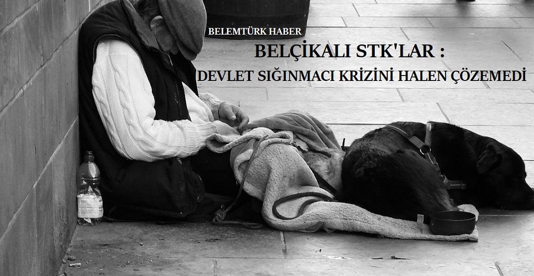 Belçikalı STK’lar: Devlet sığınmacı krizini halen çözemedi