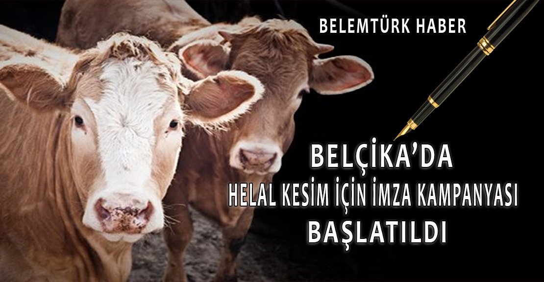 Belçika İslam Koordinasyon Kurulu  helal kesim için imza kampanyası başlattı