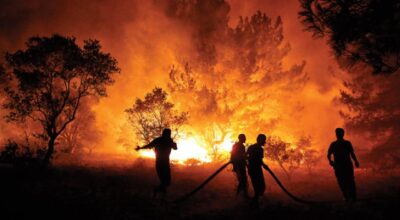 Belçika’da orman yangınlarına karşı alarm verildi