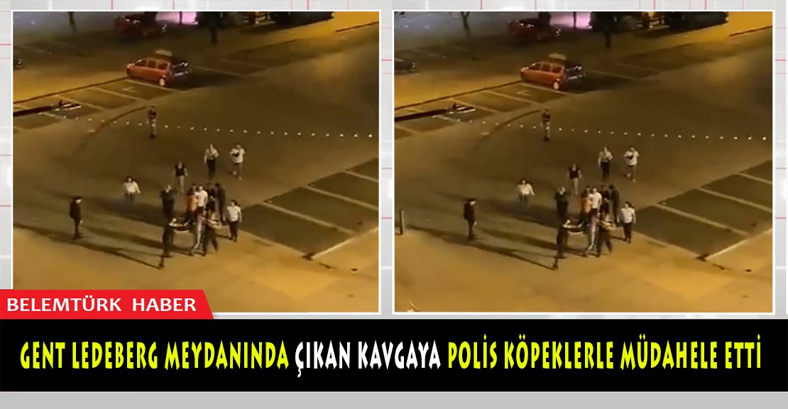 Gent  Ledeberg meydanında çıkan kavgaya polis köpeklerle müdahele etti.