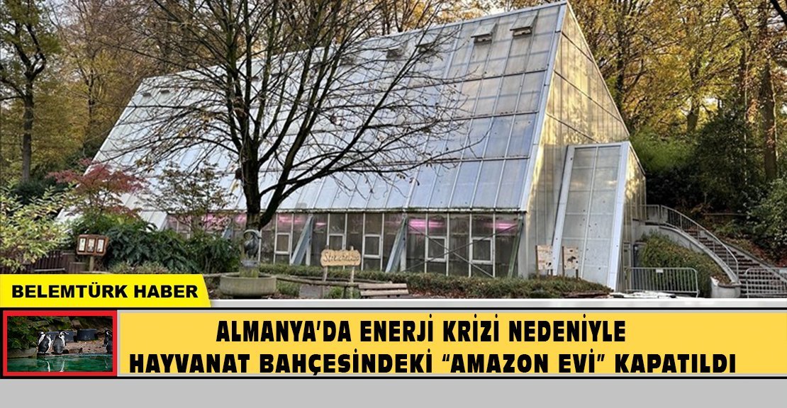 Almanya’da enerji krizi nedeniyle hayvanat bahçesindeki “Amazon Evi” kapatıldı