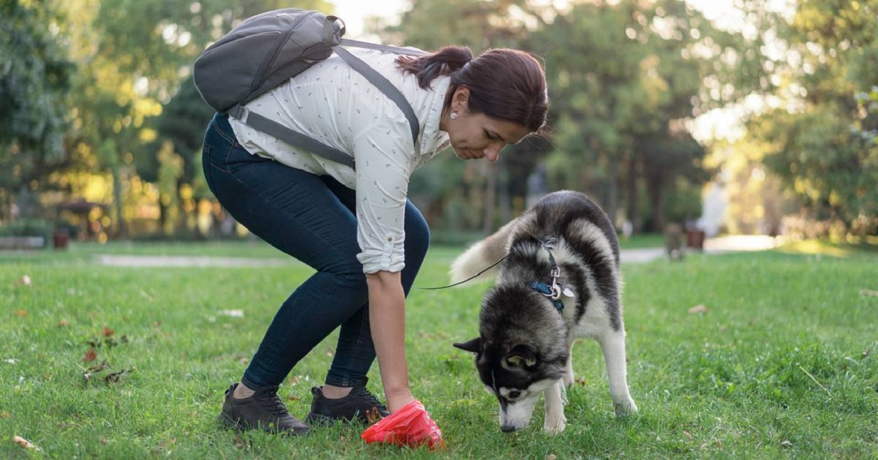 Fransa’da sokakta bırakılan dışkının hangi köpeğe ait olduğu DNA teknolojisi ile belirlenecek.