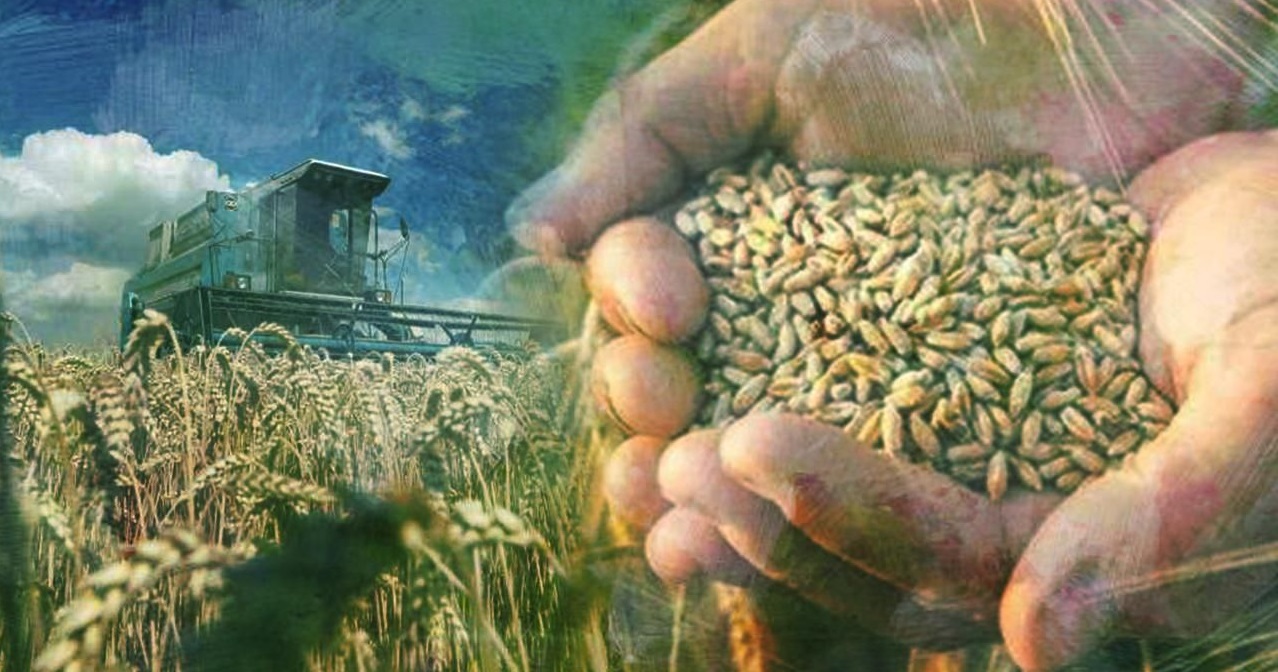 AB’den “büyük gıda krizi” uyarısı