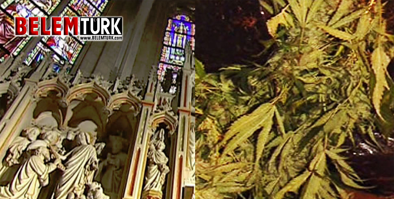 Belçika’da kilisede kenevir yetiştiren iki şüpheli yakalandı