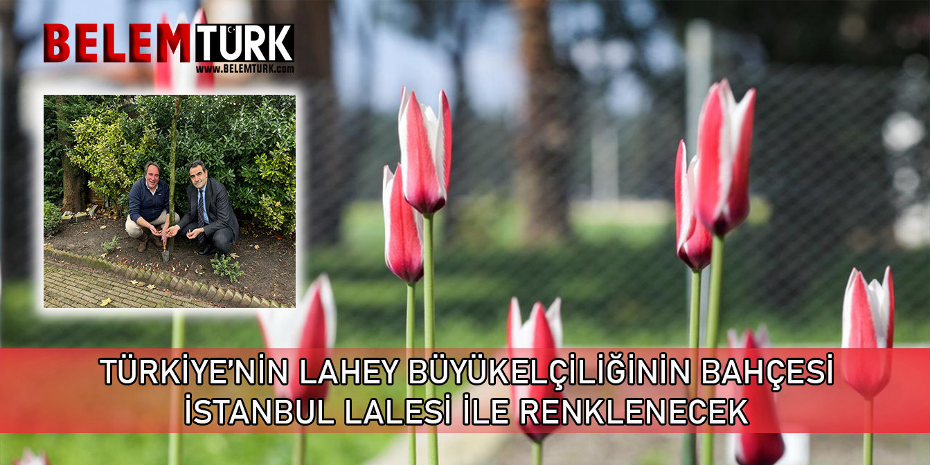 Türkiye’nin Lahey Büyükelçiliğinin bahçesi “İstanbul Lalesi” ile renklenecek