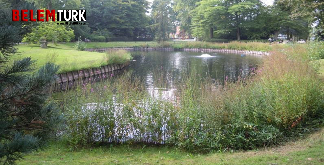 Belçika’nın Anvers şehrinde belediye parkında yeni doğmuş bebek bulundu