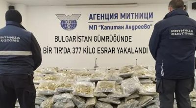 Bulgaristan gümrüğünde Almanya’dan Türkiye’ye plastik paletler taşıyan TIR’da 377 kilo esrar yakalandı