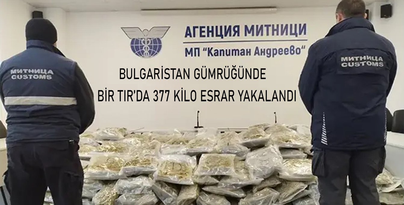 Bulgaristan gümrüğünde Almanya’dan Türkiye’ye plastik paletler taşıyan TIR’da 377 kilo esrar yakalandı
