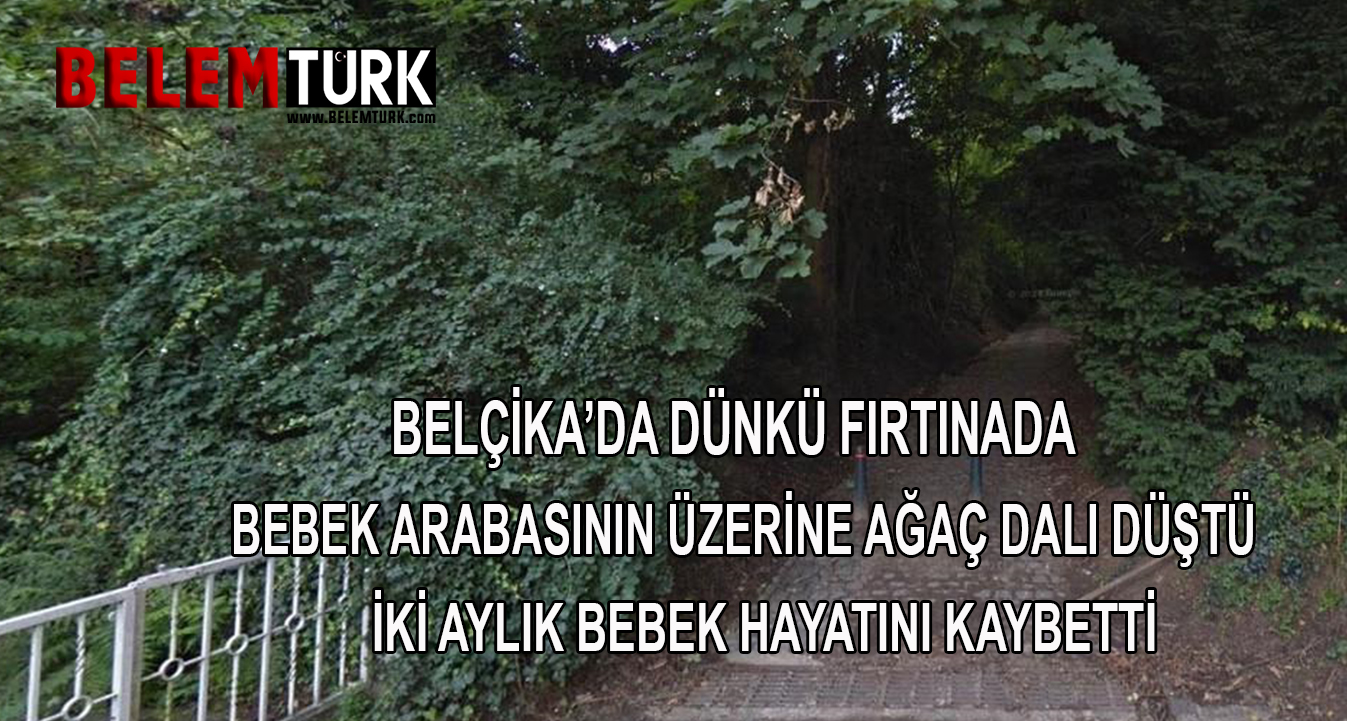 Belçika’da dünkü fırtınada bebek arabasının üzerine düşen ağaç dalı 2 aylık bebeğin ölümüne neden oldu