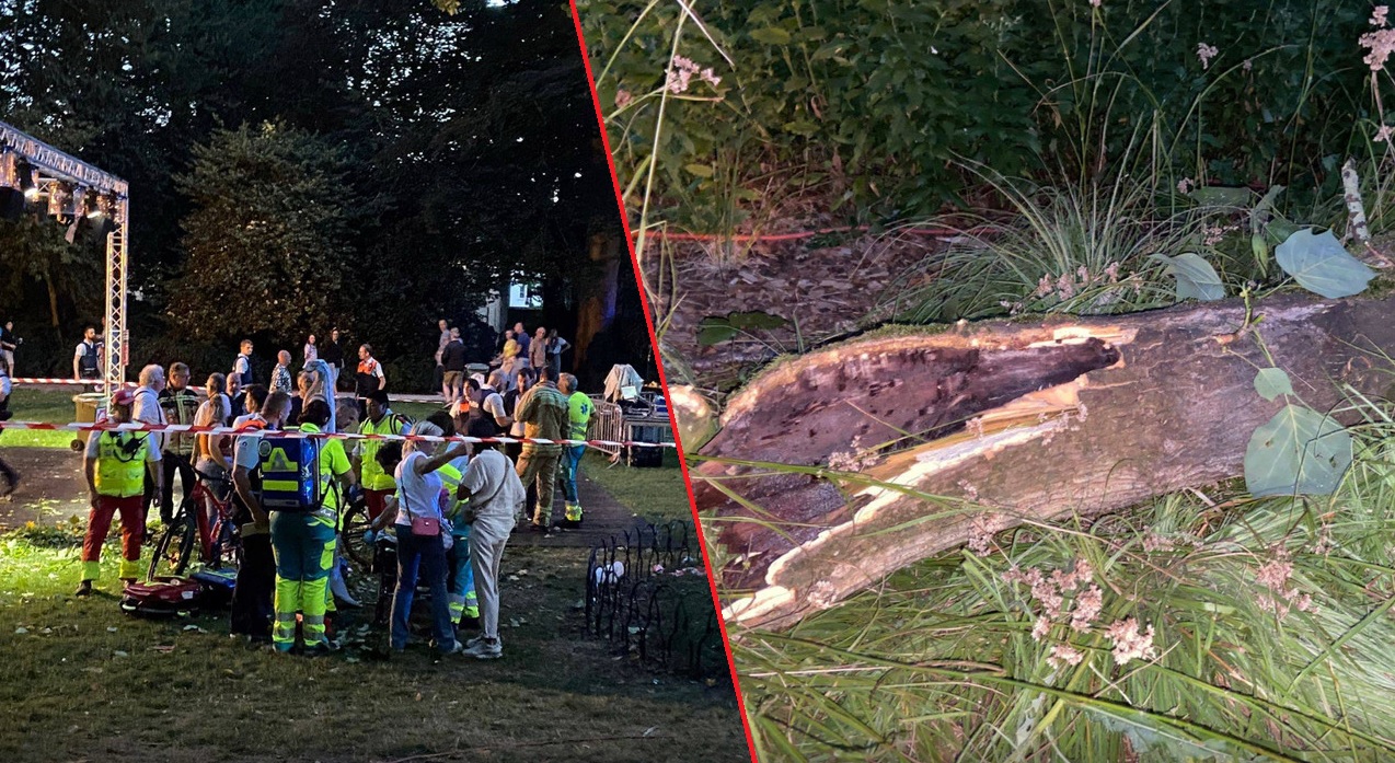 Belçika’da Benenwerk festivalinde izleyicilerin üzerine ağaç dalı düştü : 7 yaralı