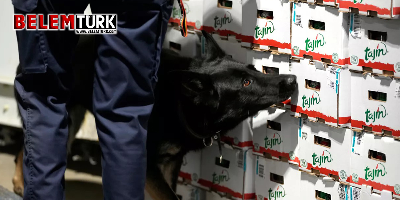 Anvers Limanı’nda uyuşturucu kaçakçılığı şüphesiyle 2’si çocuk 7 Hollandalı gözaltına alındı