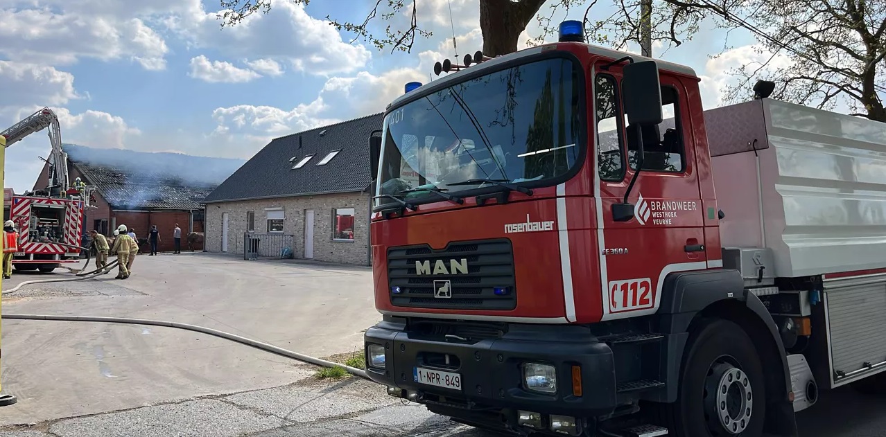 Belçika’da bir ahırda çıkan yangında 150 hayvan telef oldu