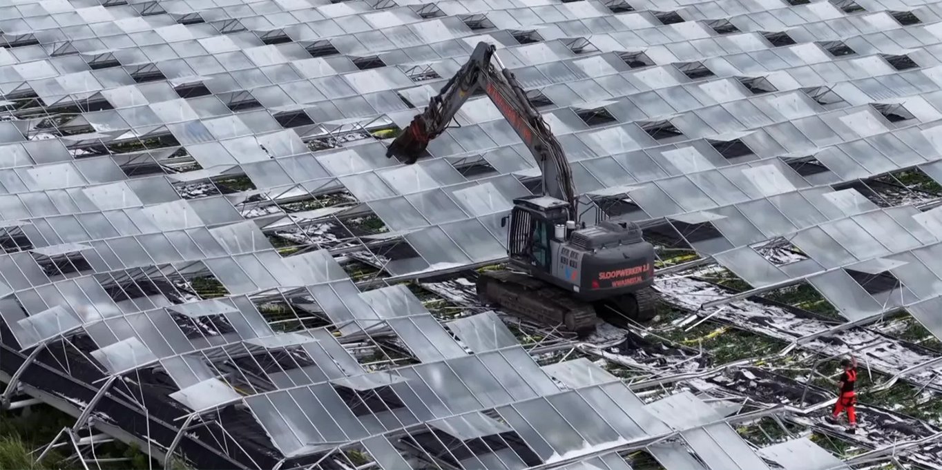 Hollanda’da 65 kişinin çalıştığı 9 hektarlık sera çöktü