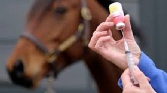 Belçika'da  bataklık humması şüphesiyle 70 at karantinaya alındı. 