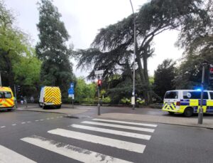 Belçika’nın Anvers şehir parkında çıkan kavgada bir kişi öldü, 7 kişi tutuklandı