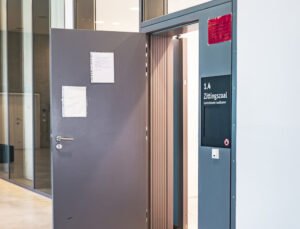 Belçika’nın Gent şehrinde bir avukatın müvekkilinin başında bitlerin hareket ettiğini görmesi duruşmanın ertelenmesine yol açtı