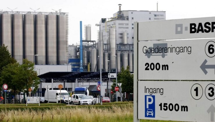 Belçika’daki kimya şirketi BASF Antwerpen, yaklaşık 600 çalışanının işine son verecek