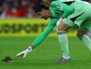 Belçikalı kalecinin karşılaşma sırasında sahaya giren bir fareyi yakalamaya çalışması neşe kaynağı oldu.