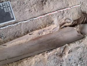 Belçika’nın Gent şehrinde mehtemelen ortaçağ rahiplerine ait mumyalanmış iskeletler bulundu