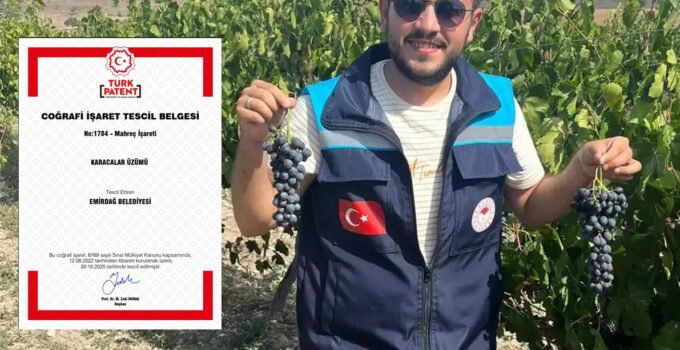 Emirdağ’ın Karacalar Üzümü Coğrafi İşaret Tescil Belgesi almaya hak kazandı.