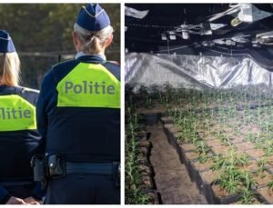 Belçika’da drugsplantageontdekt.be adlı uyuşturucu ihbar web sitesine 2 binden fazla ihbar yapıldı