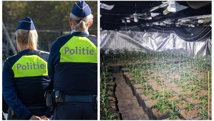 Belçika’da drugsplantageontdekt.be adlı uyuşturucu ihbar web sitesine 2 binden fazla ihbar yapıldı