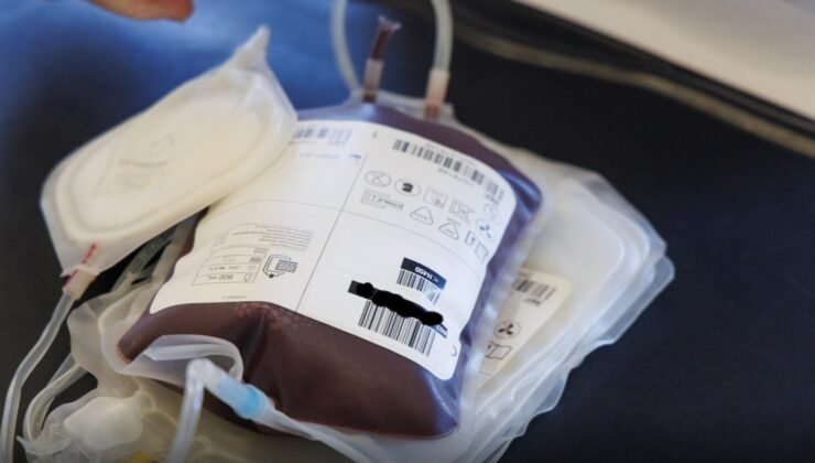 Doğu Flaman bölgesinde kan bağışı arttı.