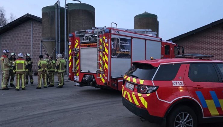 Belçika’da hayvan gübresinden sızan gazdan etkilenen 39 yaşındaki çiftçi hayatını kaybetti