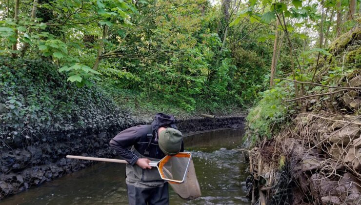 Belçika’nın Gent şehrinde yaklaşık 30 kişi ‘akarsu uzmanı’ olmak için eğitim alıyor