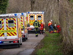 Almanya’da bir ormanda devrilen ağacın altında kalan genç kız, anne ve bebeği hayatını kaybetti