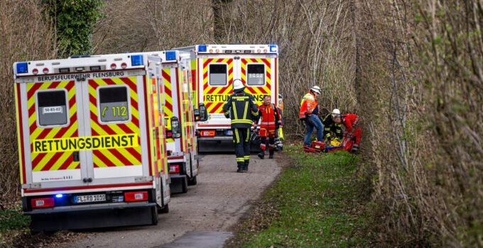 Almanya’da bir ormanda devrilen ağacın altında kalan genç kız, anne ve bebeği hayatını kaybetti